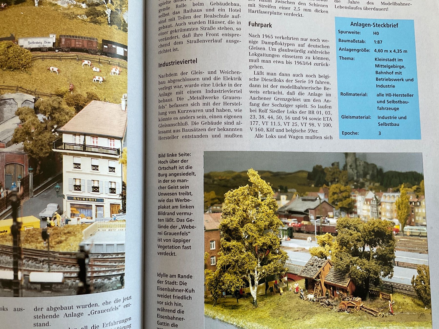 Libri: Das grosse Buch der Modellbahnanlagen - 2002 – Usato da Avenches venduto da Lactobacille 5