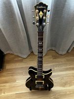Washburn WI-66PROQ
