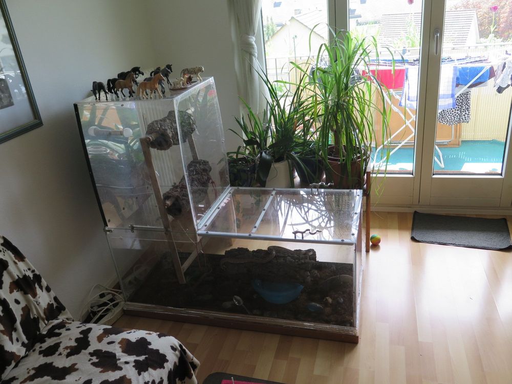Elegantes Terrarium Mit Heizung Bild