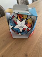 UCL Pro Ball St.Petersburg 2022 Final (Fussball)