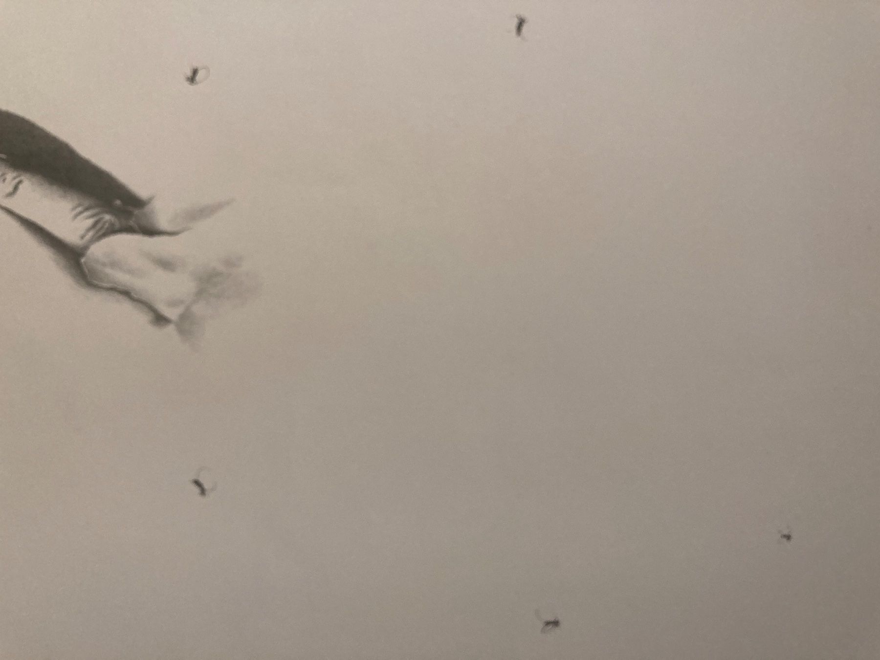 Grafica & Litografie: Alfred Hofkunst, handsigniert, gross – Usato da Rain venduto da Pic-Ass 4