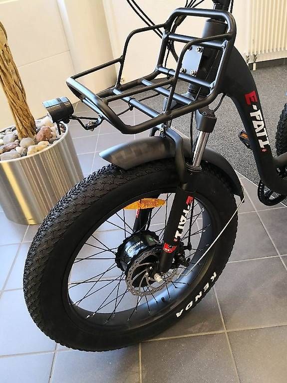 Biciclette: Dreirad EBike – Usato da Lyssach venduto da Hoferbike 4