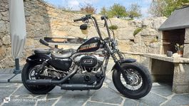 Harley Davidson XL1200 Sportster 48