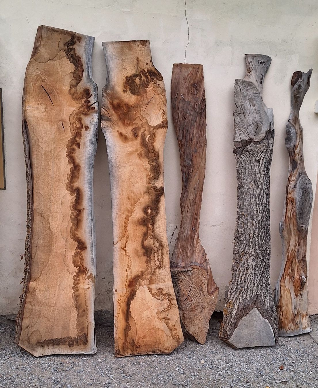 Articoli in legno: planche de noyer – Nuovo (secondo la descrizione) da Bussy FR venduto da 023 4
