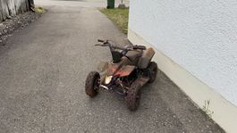 Mini Quad mit Benzinmotor 50 ccm