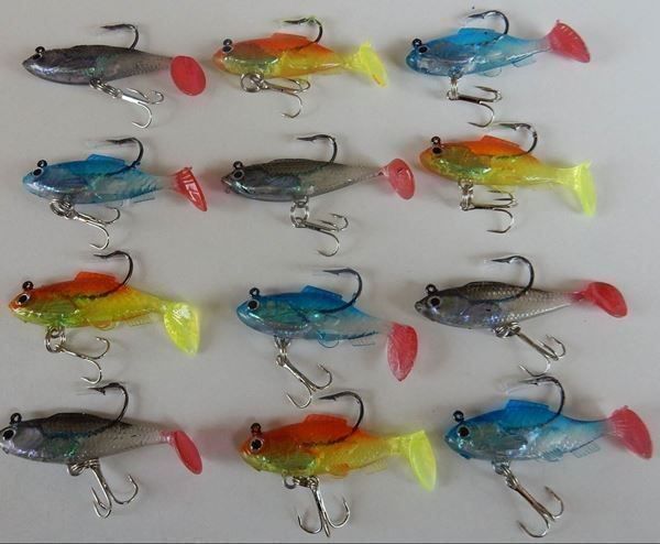 Esche: 12 Stück Shad Gummifisch 6cm 8g – Nuovo e nell'imballaggio originale da Kehrsatz venduto da rabrovo56
