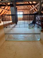 Glas-Nagerkäfig mit Gitteraufsatz, 100 × 50 cm