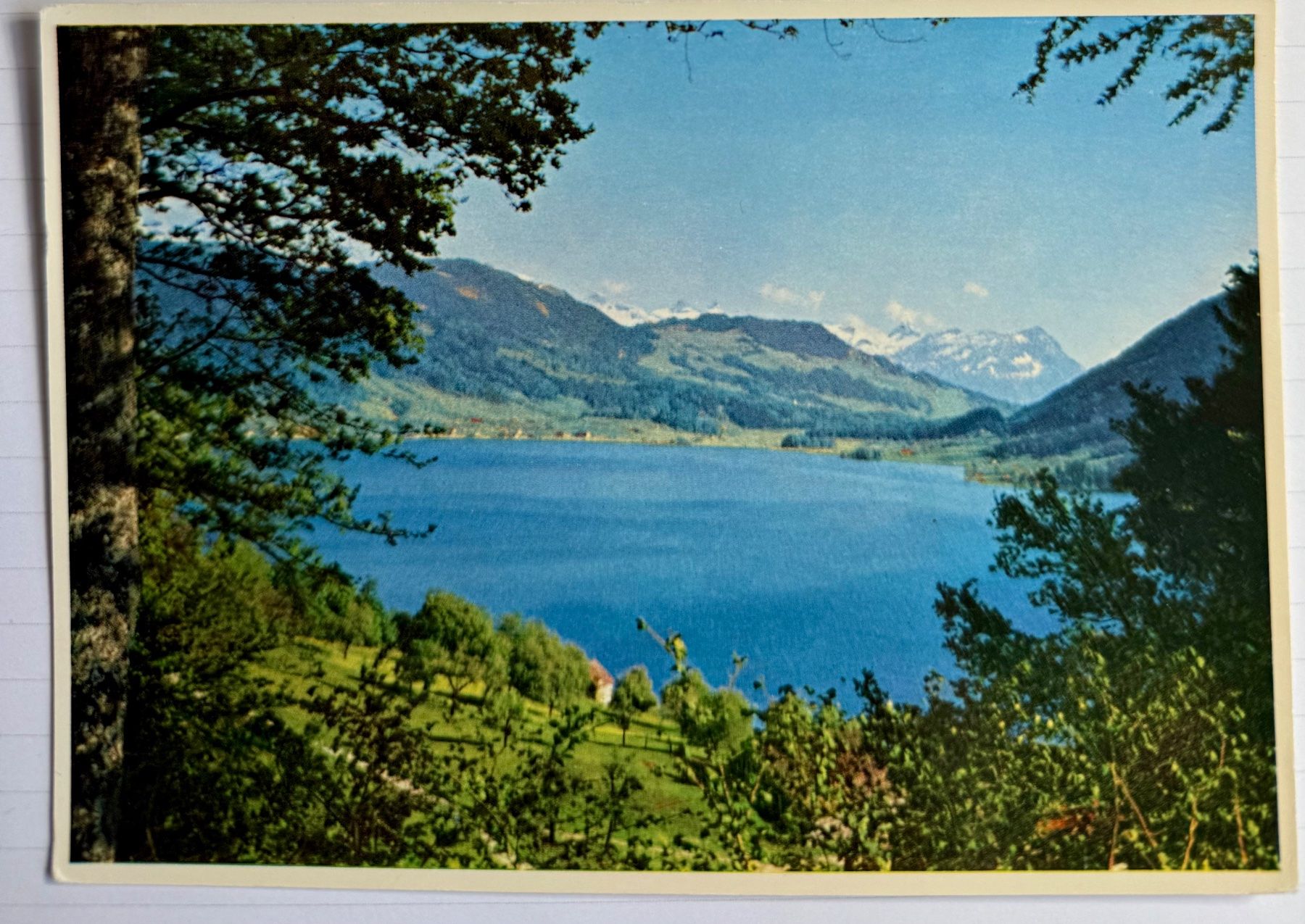 Cartoline postali: Aegerisee  - 1963 – Usato da Lutry venduto da Ediego