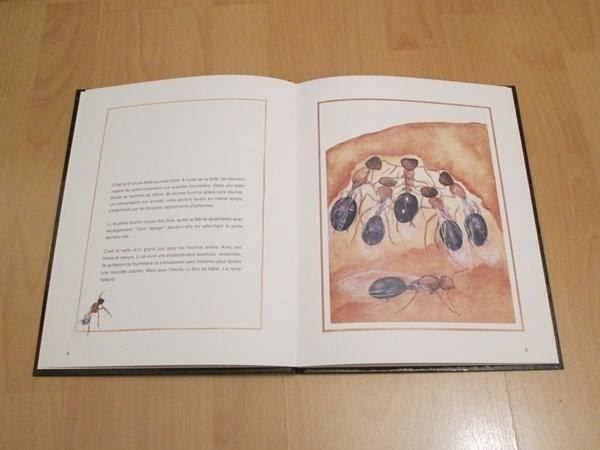 Libri: La fourmi ailée – Usato da Neuchâtel venduto da Dualseele 3