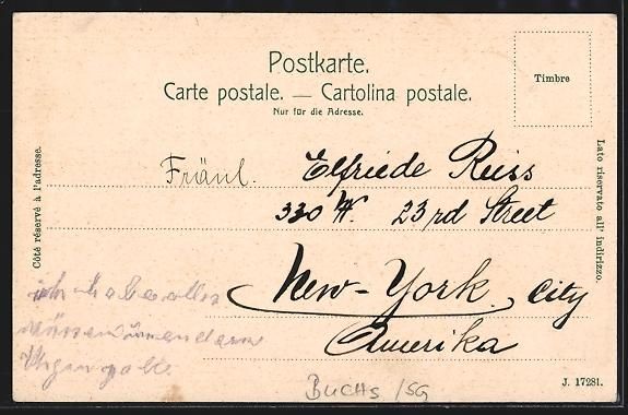 Cartoline postali: Buchs /SG, Schloss und Städtchen Werden – Usato da Berlin venduto da bartko-reher 1