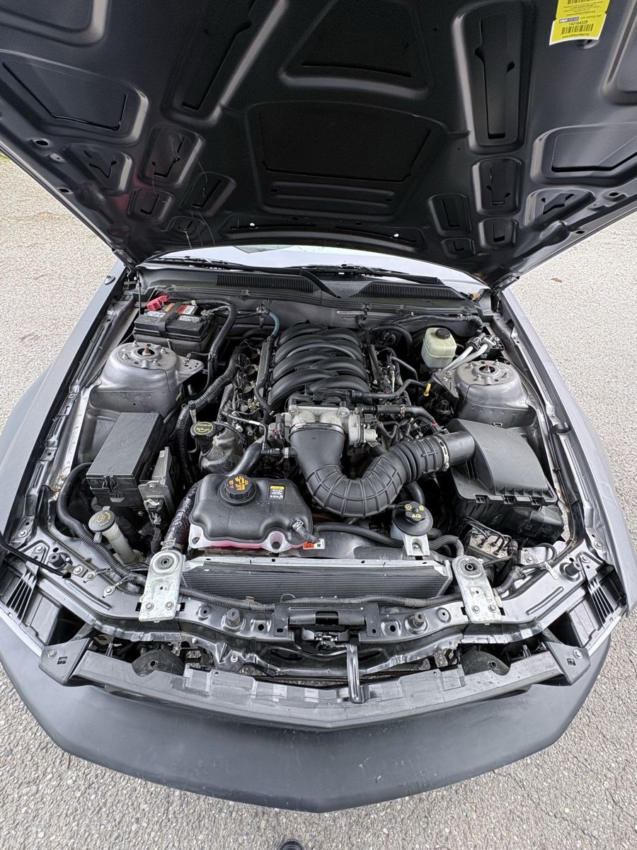 Ford (Usa) Automobili: Ford Mustang GT – Usato da Bad Zurzach venduto da mih_2qzx 9