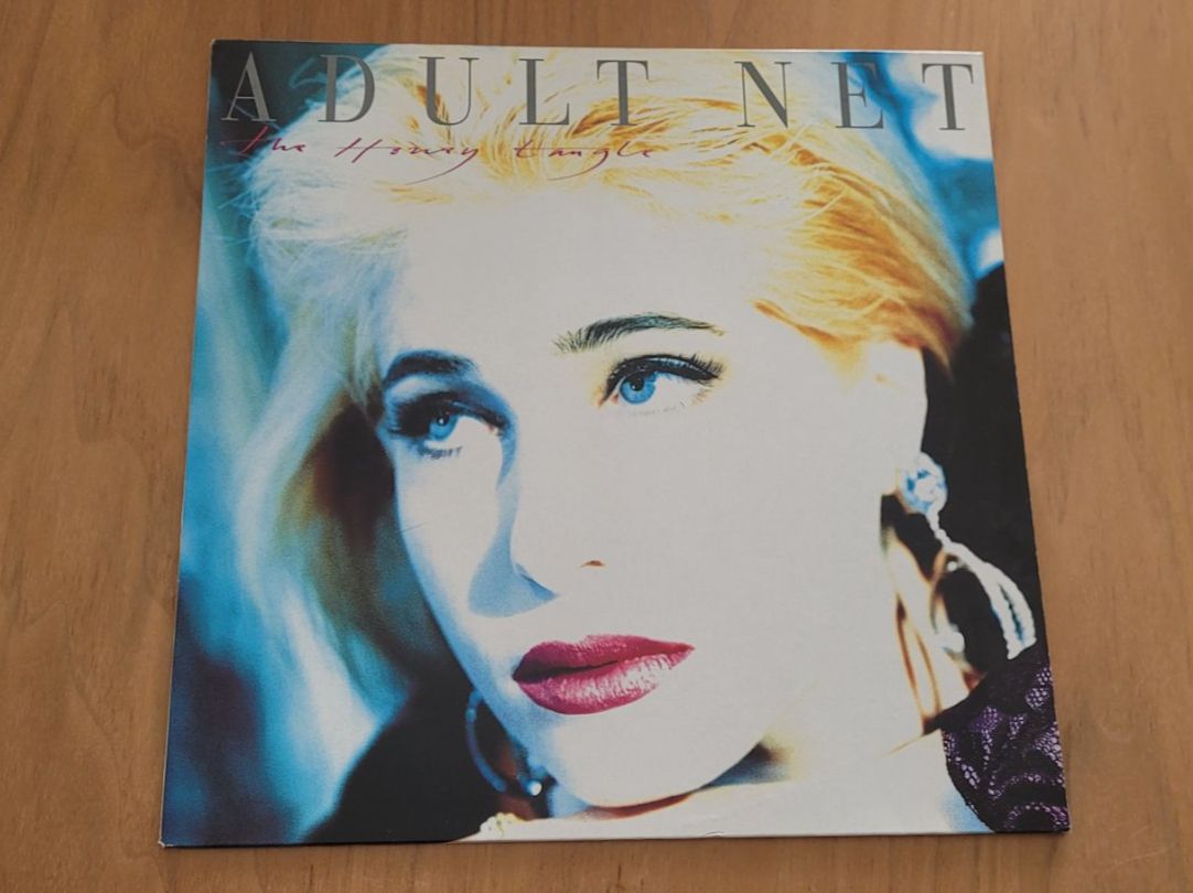 Dischi in vinile: LP  The Adult Net – Usato da Martigny venduto da MZ-67