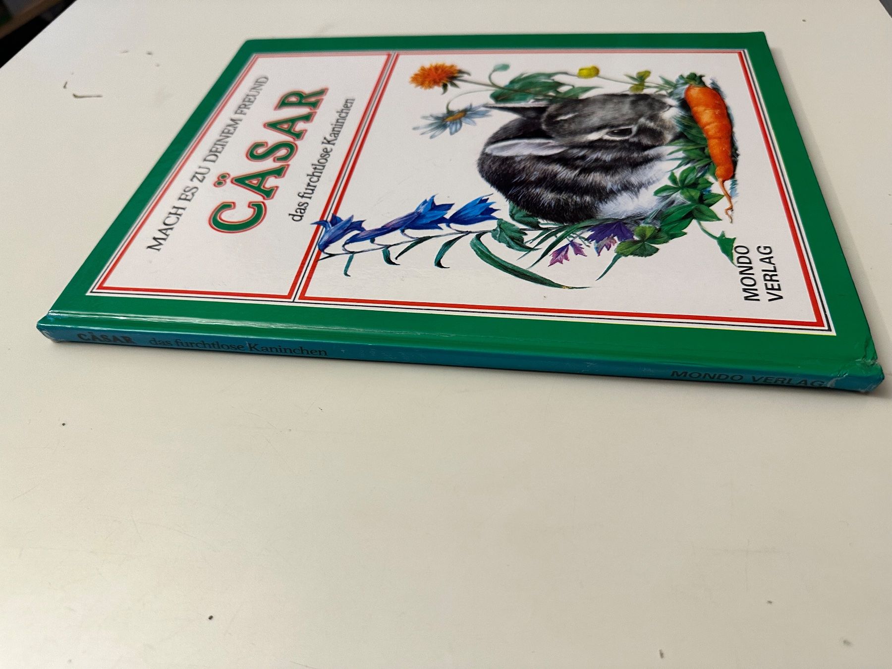 Bücher: CÄSAR das furchtlose Kaninchen  - Hardcover – Gebraucht aus Münsingen von Ganjam 1