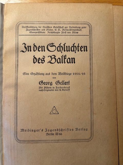Libri: 2 alte Bücher aus dem ersten Weltkrieg – Usato da Seon venduto da retep012 1