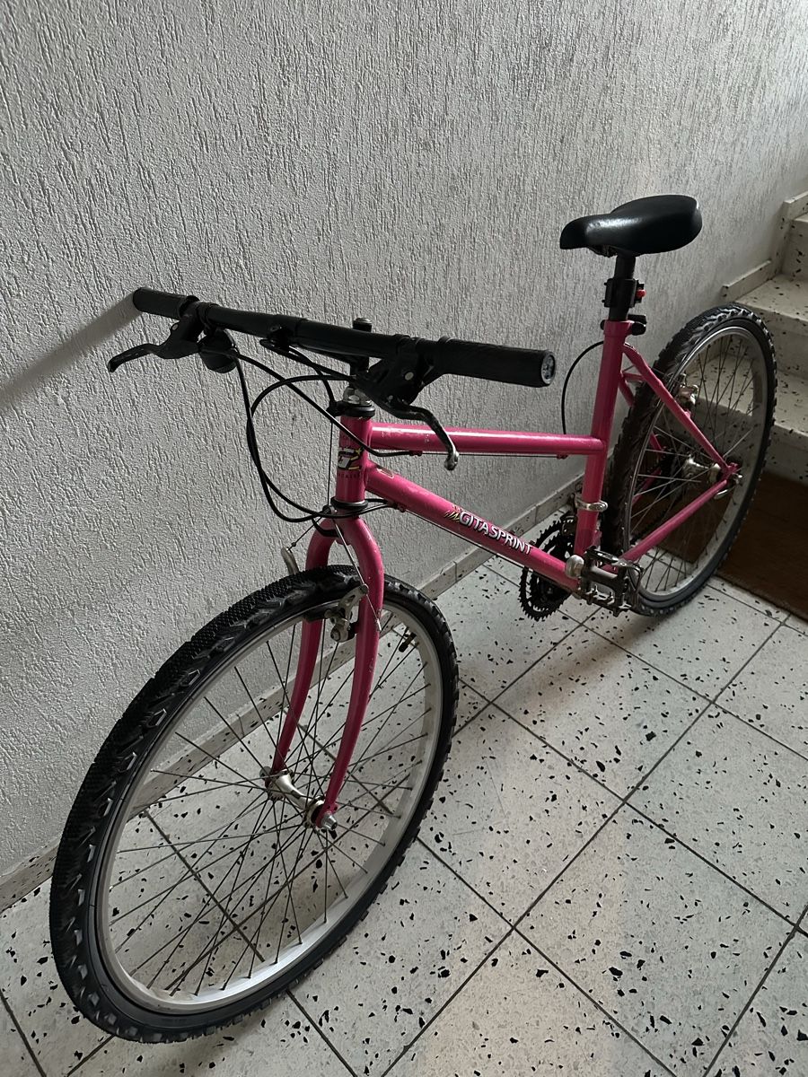 Biciclette: Pink Mountain Bike - need fixing – Usato da Dübendorf venduto da wil_5n9s 3