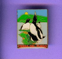 TIERRA DEL FUEGO  Pinguin