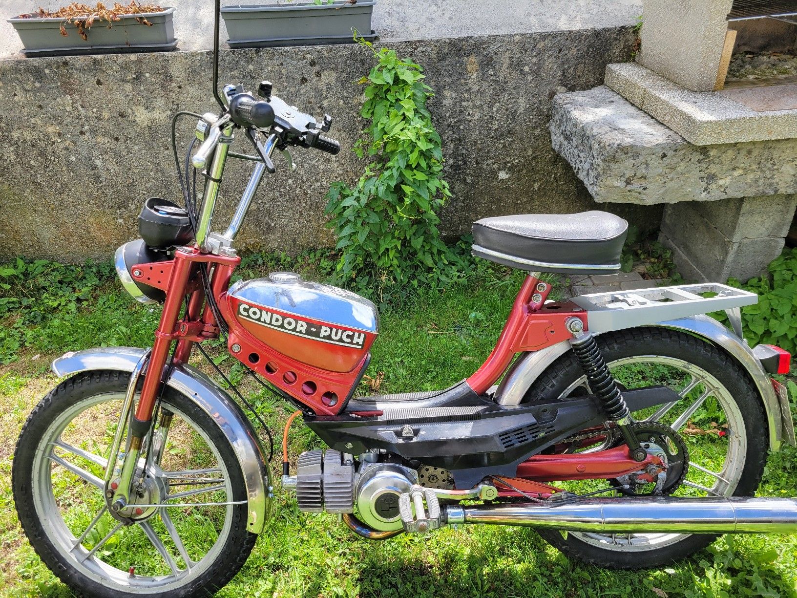 Puch Mofas: Puch x30 ng2a Za50 – Gebraucht aus Tavannes von Williseba74