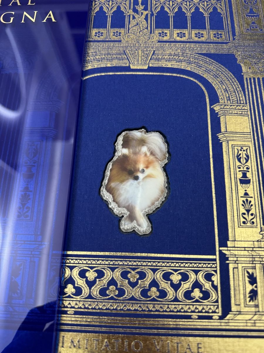 Libri: RARE Livre de collection GUCCI "IMITATIO VITAE" – Nuovo (secondo la descrizione) da Fully venduto da Gaga1990 6