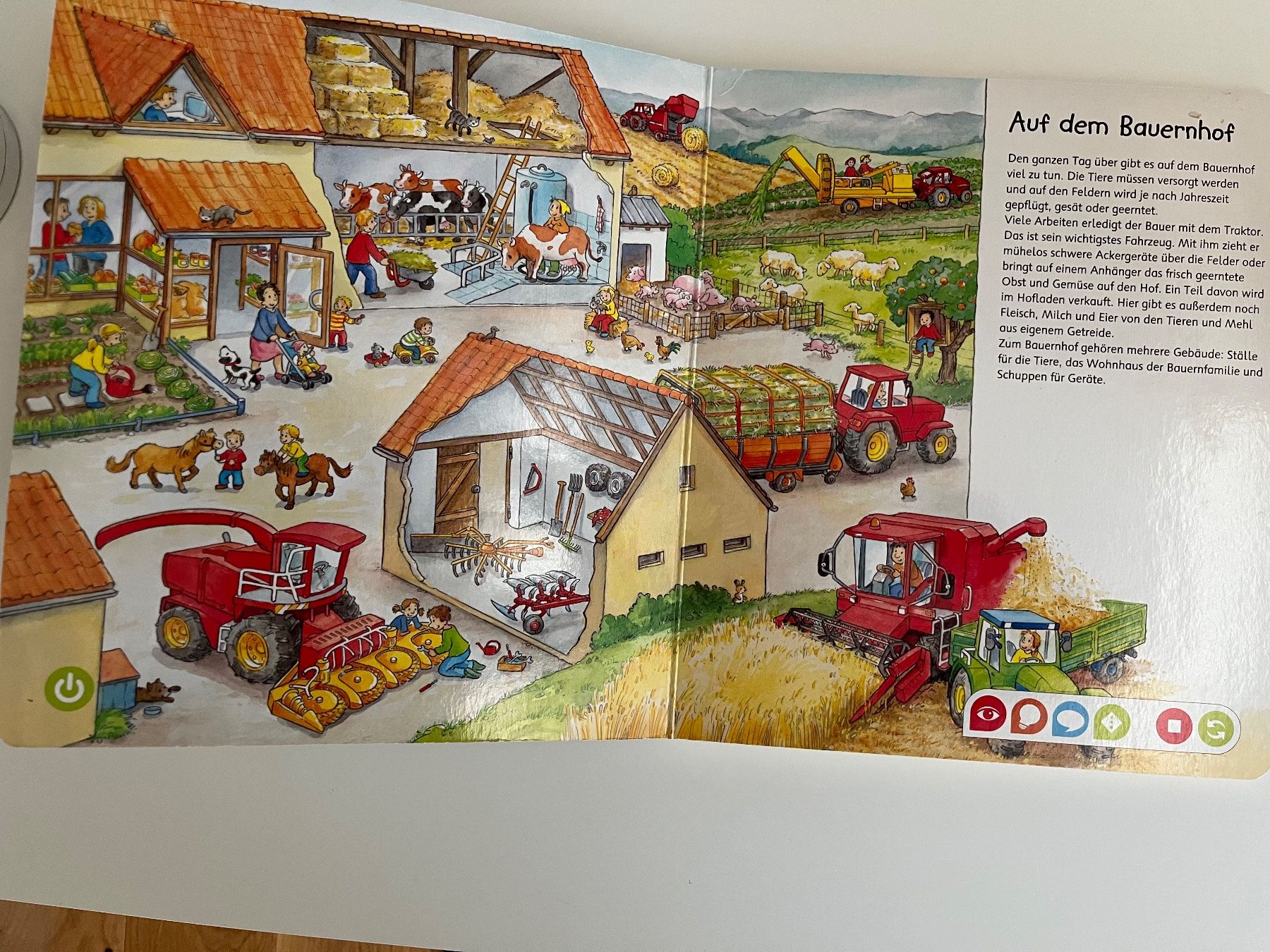 Libri: Wimmelbuch Buchstaben entdecken – Usato da Meilen venduto da Exclusive00 1