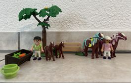 Playmobil Set - Pferde mit Reitern