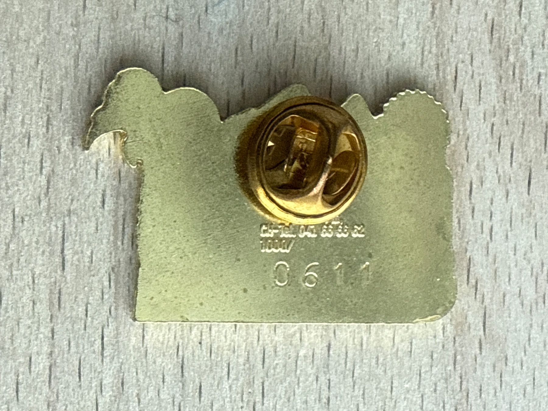 Placchette & Badge: Pin Grischa Wohnmobil AG Domat/Ems – Usato da Glattbrugg venduto da Schweigmatt 1