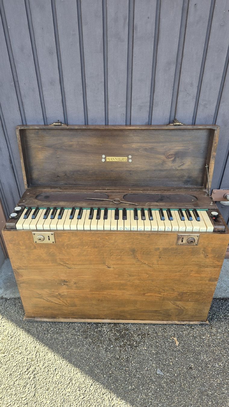 Strumenti musicali: Harmonium Mannborg zu Verkaufen – Usato da Rämismühle venduto da beni0010 1