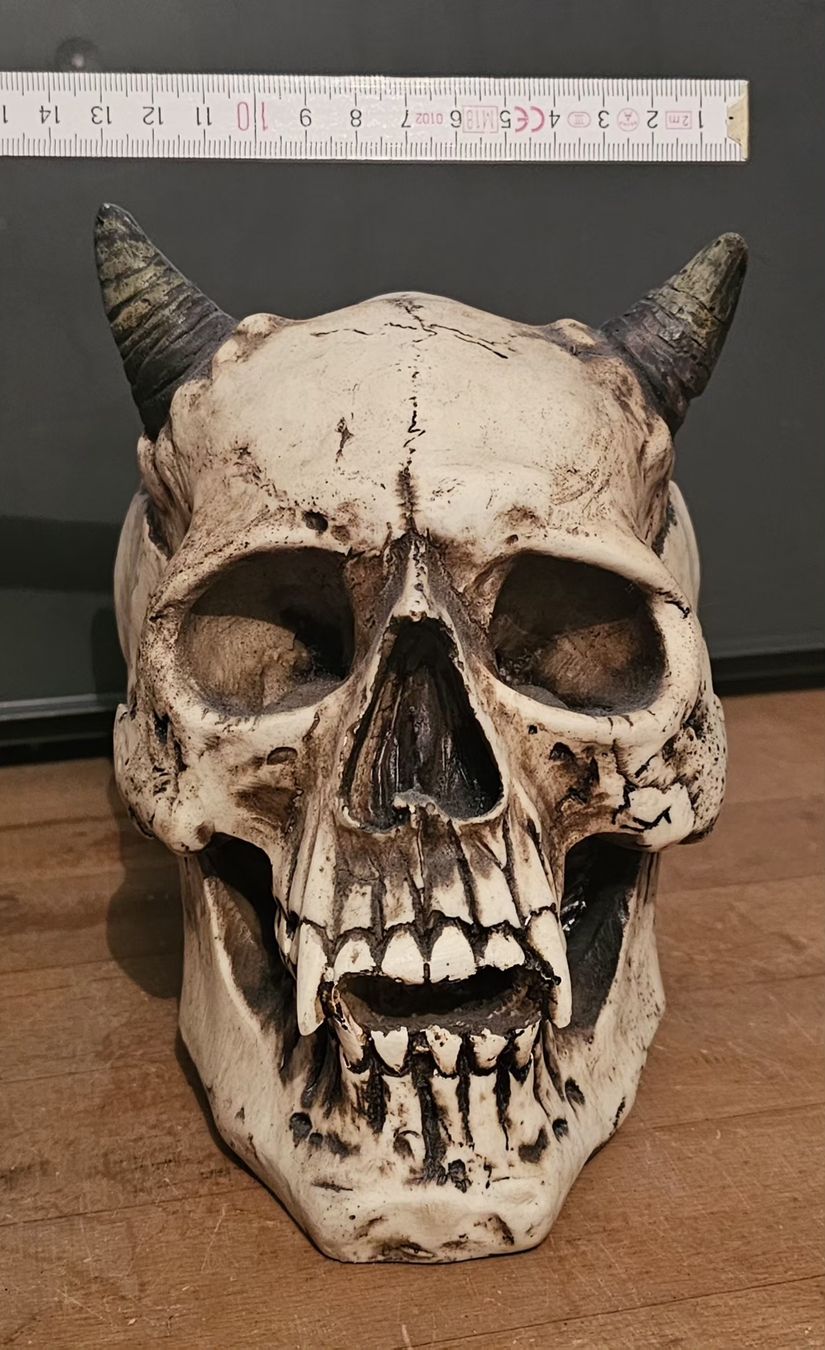 Tutte le decorazioni: Deko Totenkopf mit Hörnern – Usato da Worben venduto da Quest 1