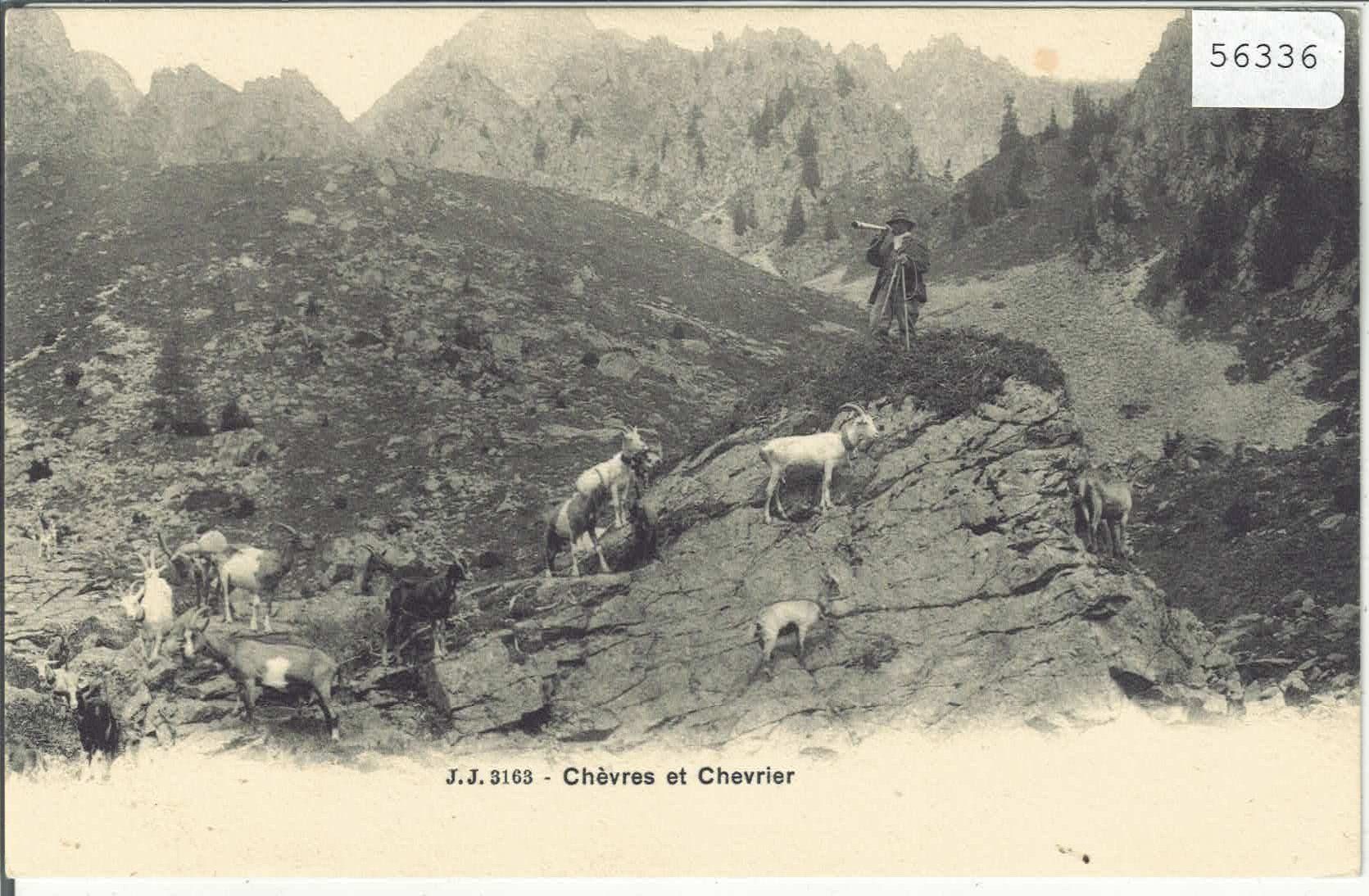 Cartoline postali: Chevres et Chevrier - Ziegen – Usato da Ettingen venduto da Kartenplanet