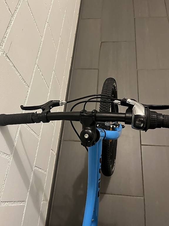 Biciclette: Naloo Chameleon 20 Zoll – Usato da Münsingen venduto da nicole19198 2