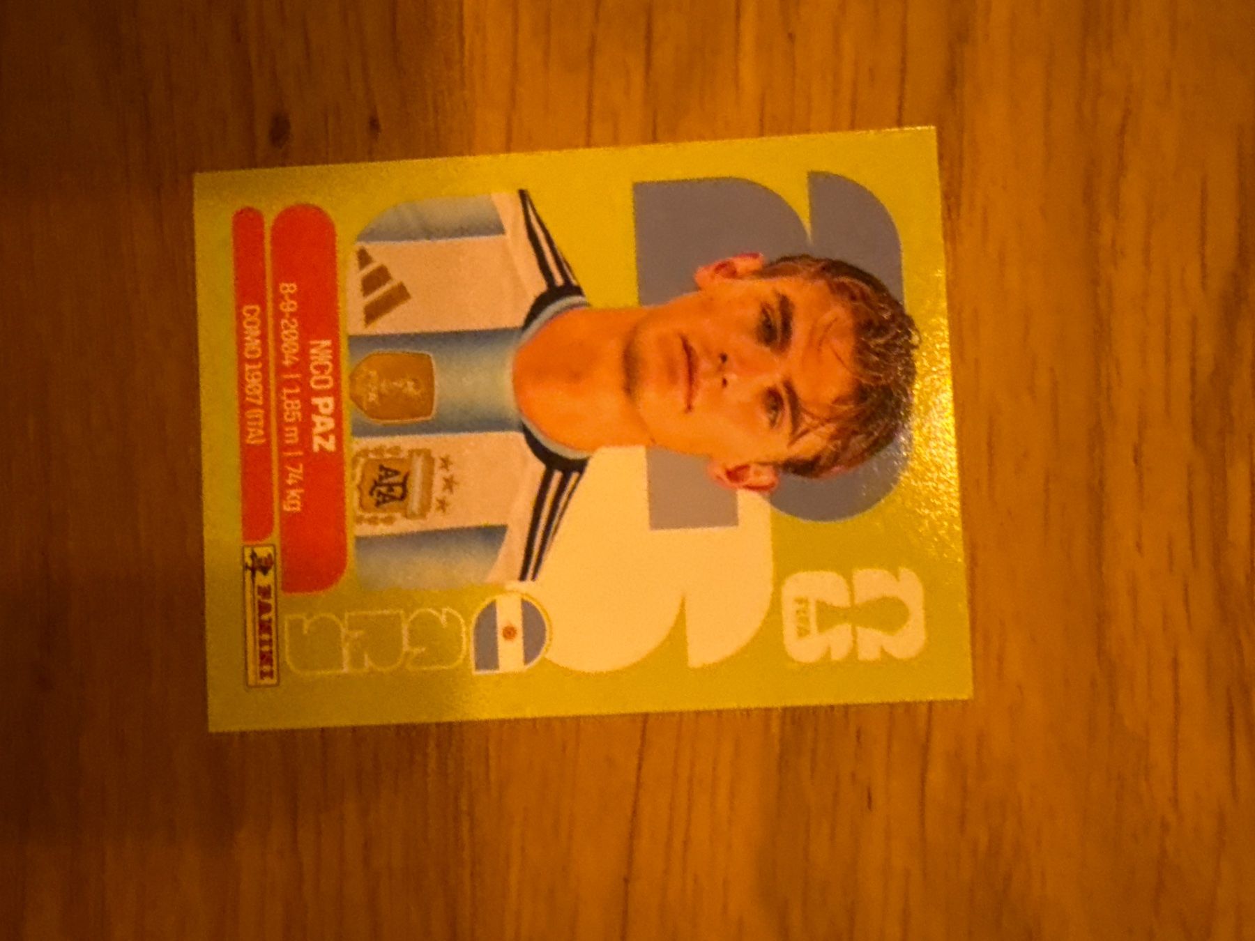 Panini Carte collezionabili: Panini – Usato da Langnau i. E. venduto da Acrjl