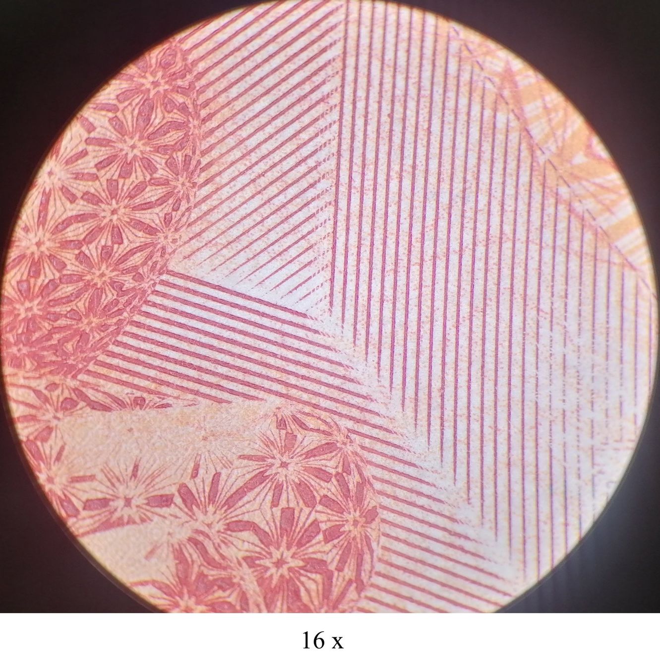 Leica Microscopi: Stereo-Mikroskop LEICA MS5 mit Ringlicht – Usato da Kerns venduto da Tuctuc2 6