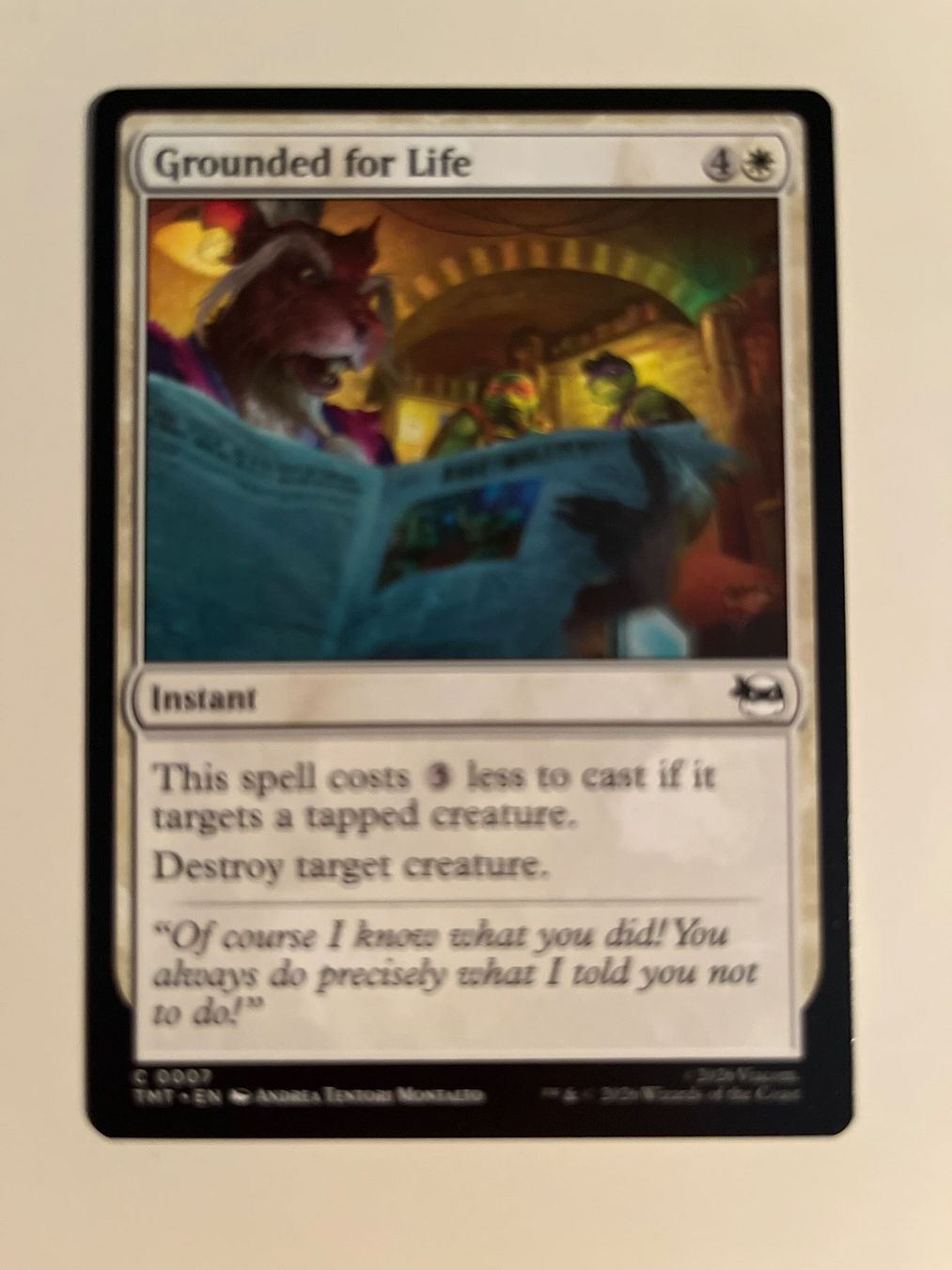 Magic The Gathering Carte collezionabili: 1 x Grounded for Life - Magic: The Gathering - MtG – Usato da Kriens venduto da Shadi1980