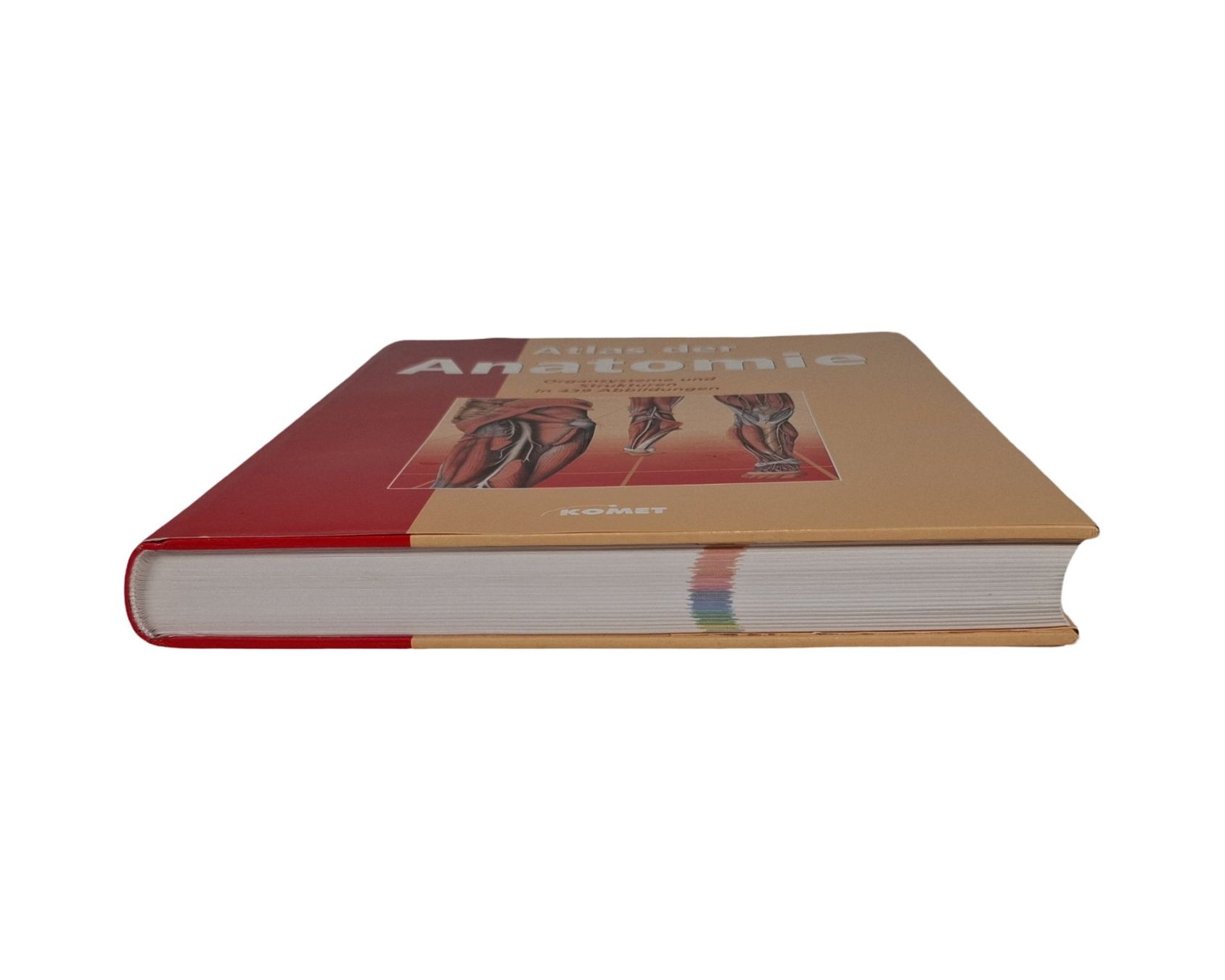 Libri: KOMET Atlas der Anatomie – Usato da Wil SG venduto da Restwert_Wil 4