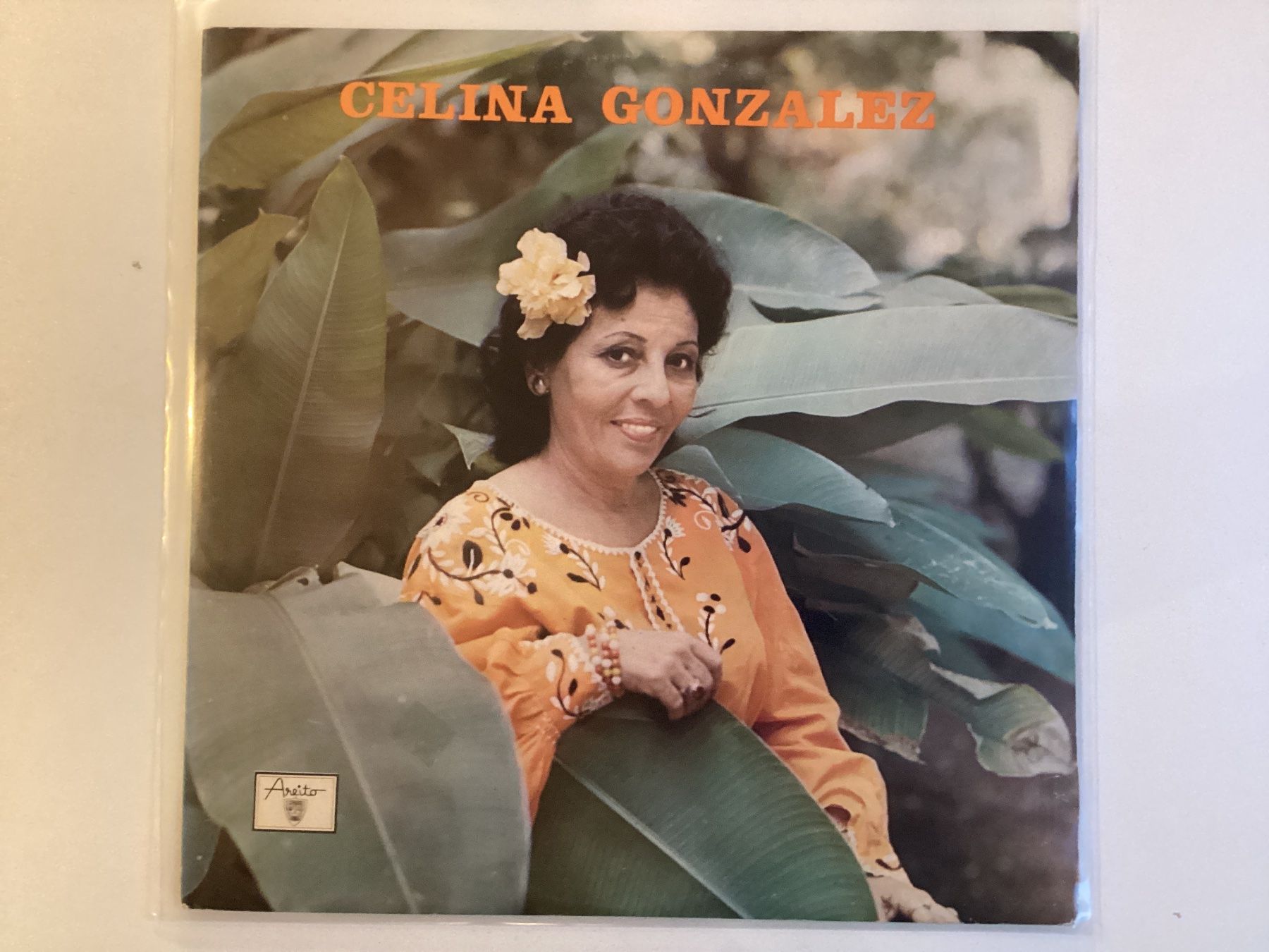 Dischi in vinile: Celina Gonzalez LP – Usato da Gutenswil venduto da Hamzian