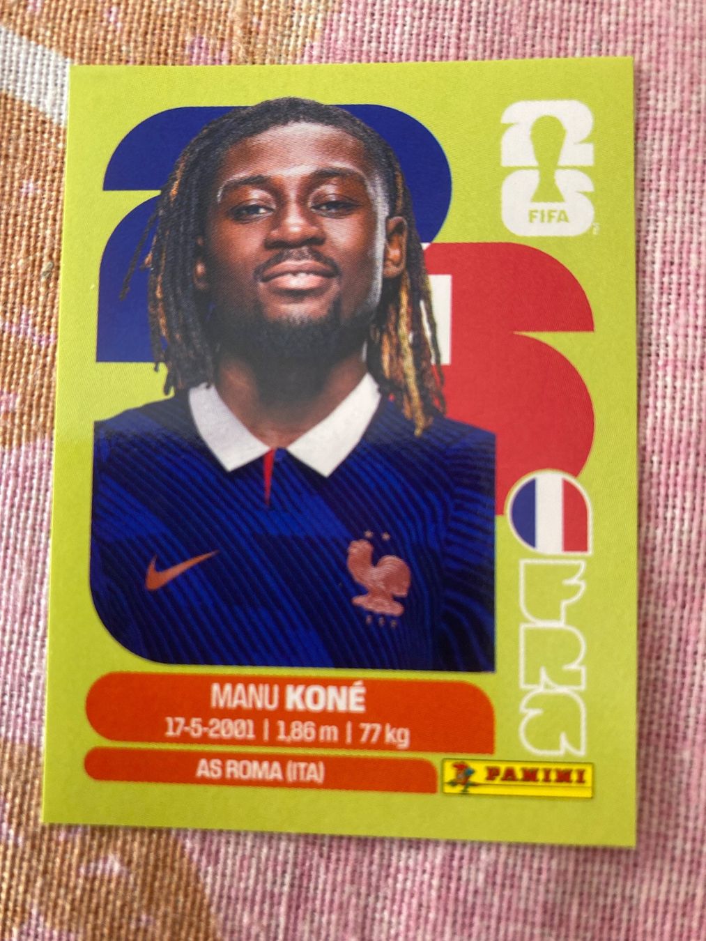 Panini Sammelbilder & Trading cards: WM Sticker FRA 11 – Neu (gemäss Beschreibung) aus Winterthur von Whitefish