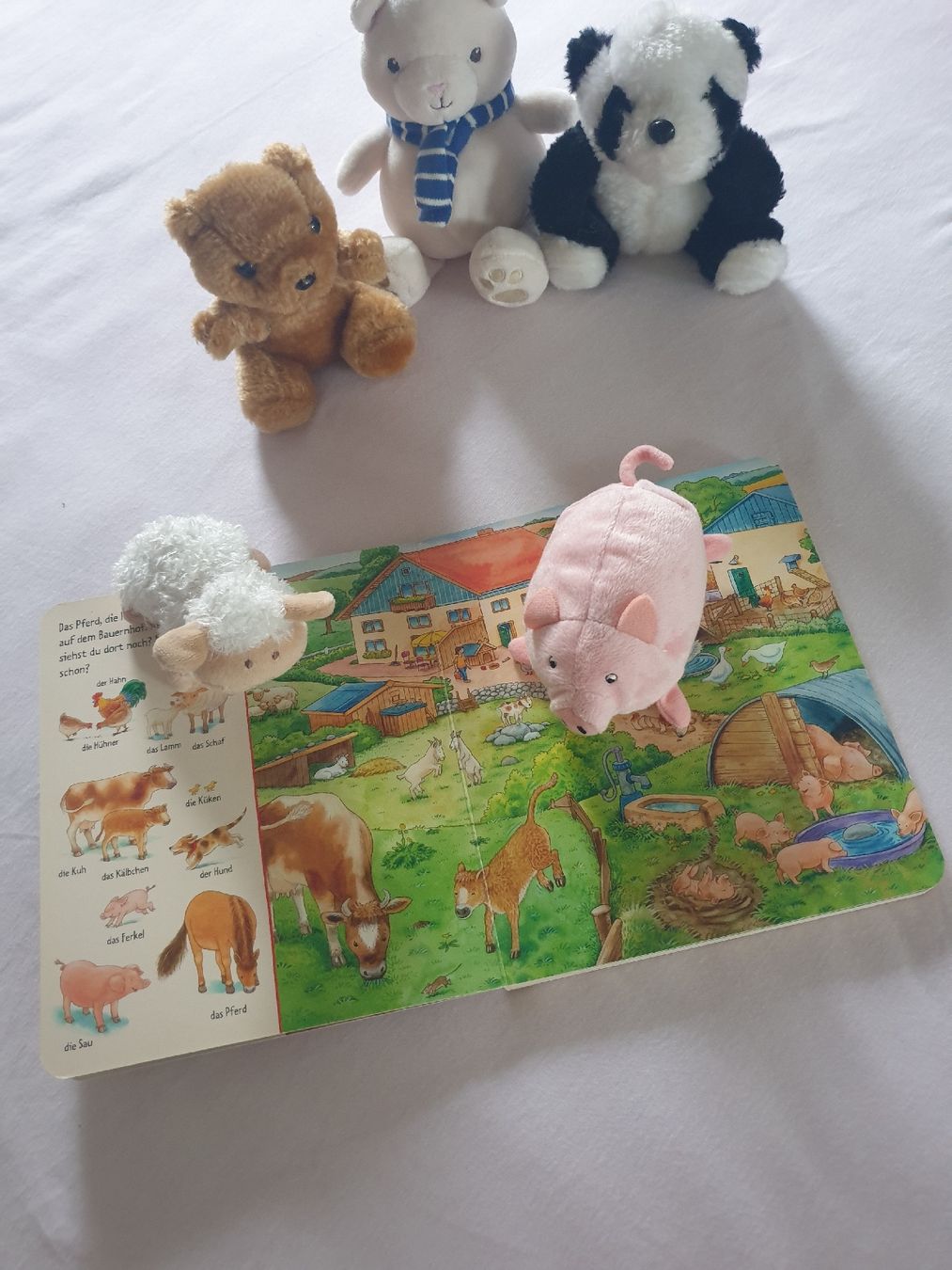 Giocattoli: Tierbuch Bilder suchen & 5 passende Kuscheltiere – Usato da Winterthur venduto da ivo_hmm2 1