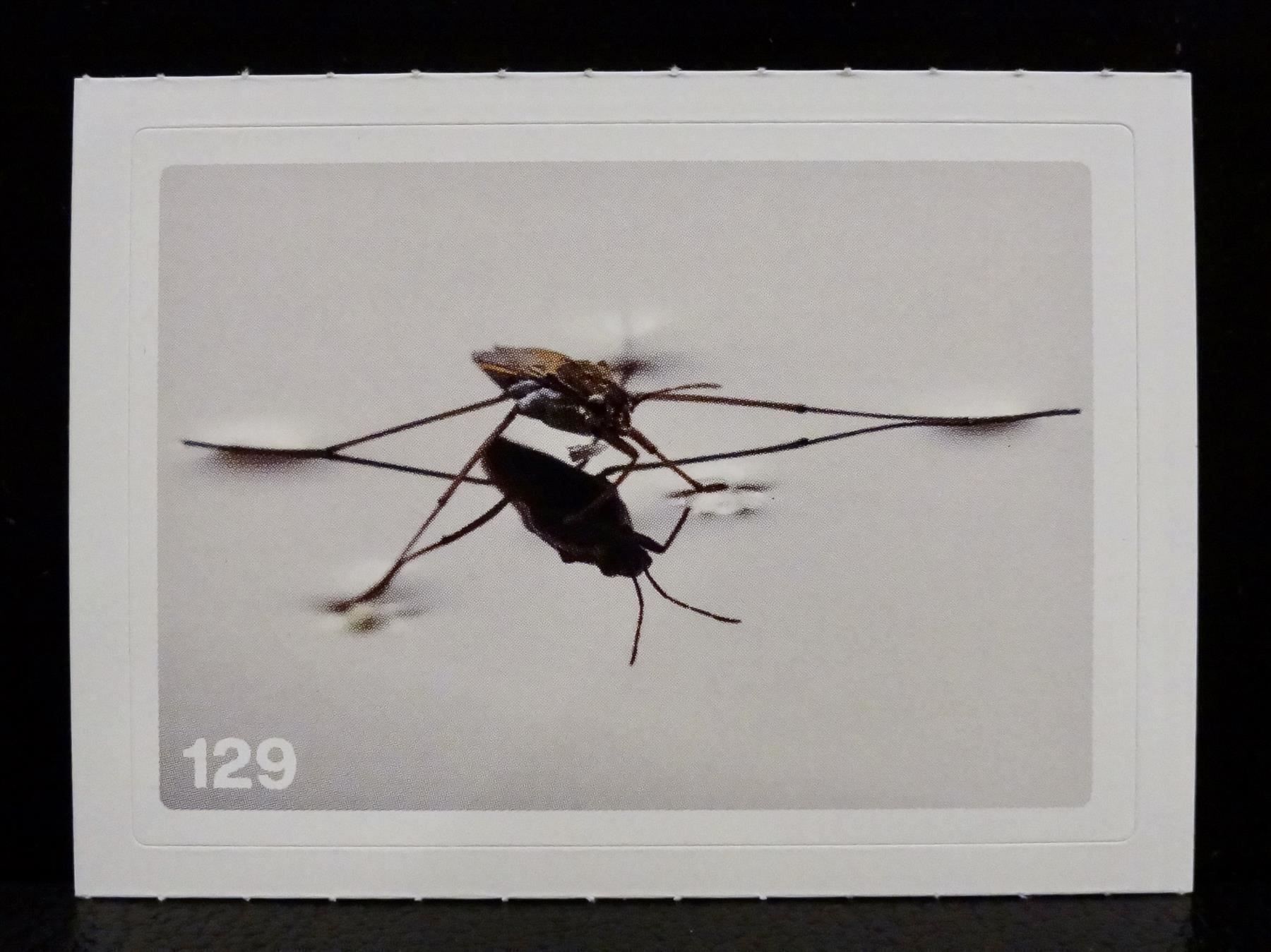Migros Sammelbilder & Trading cards: MIGROS MANIA Nature Detectives Nr. 129 – Gebraucht aus Kerzers von zimmergruen