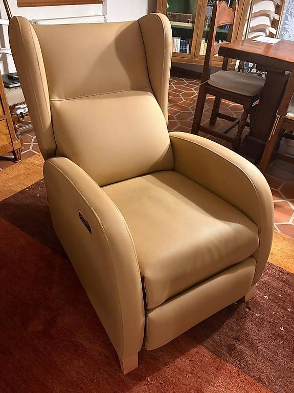 Poltrone: Fauteuil releveur électrique – Nuovo e nell'imballaggio originale da Sugnens venduto da frailich