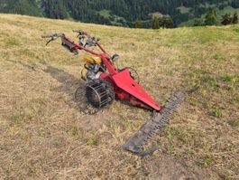 Mähmaschine Rapid 306 mit 4 neuen Messern