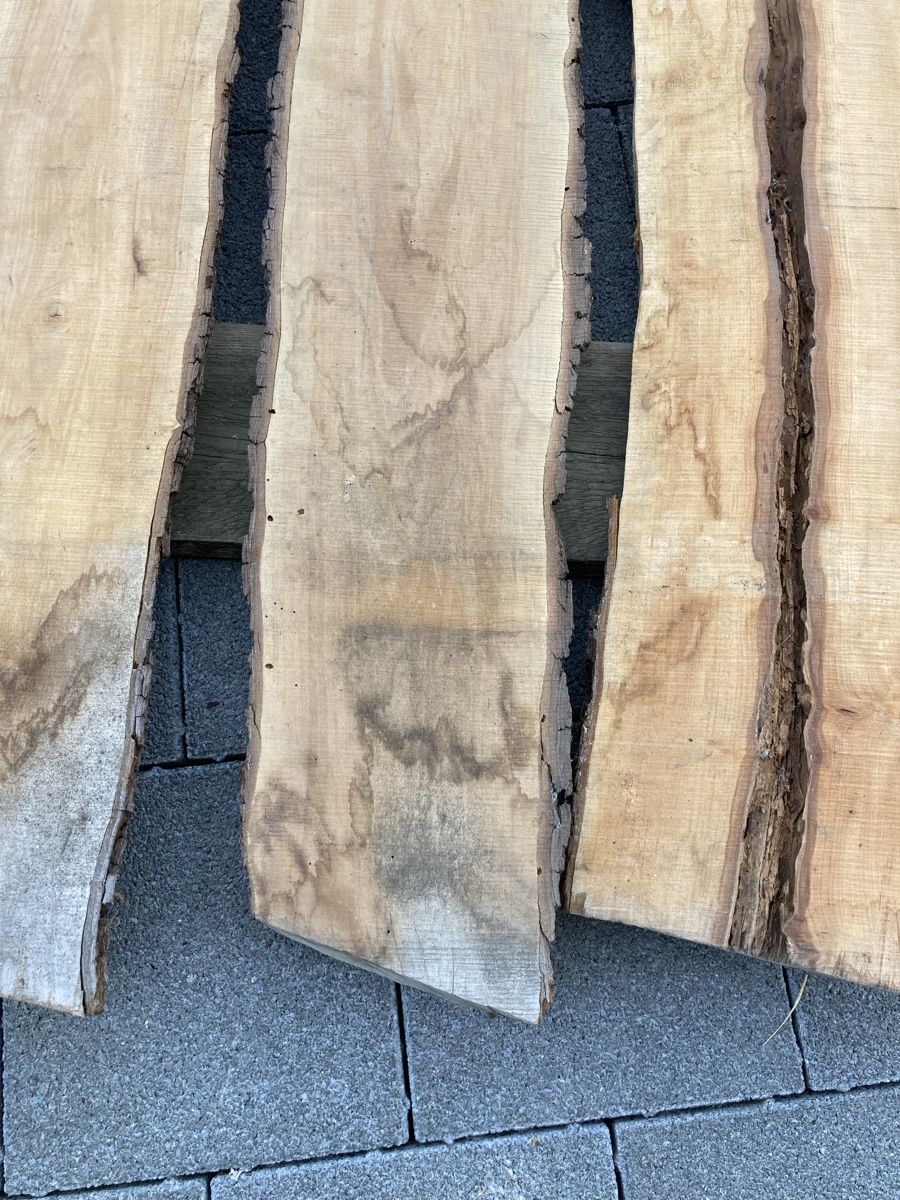 Articoli in legno: Birnbaumbretter – Usato da Luthern Bad venduto da Peter686 2