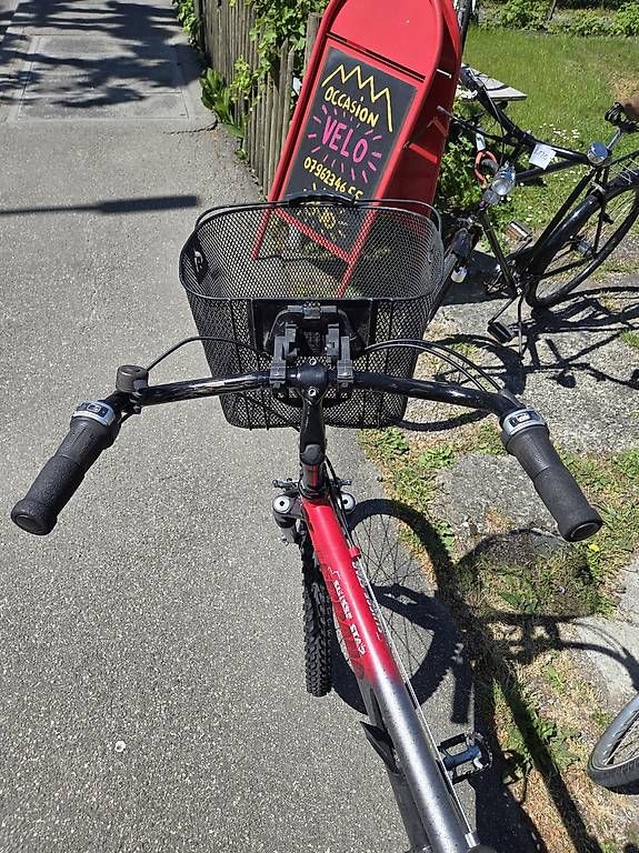 Biciclette: Terrano suisse star MTB – Usato da Biel/Bienne venduto da Rouf7 1