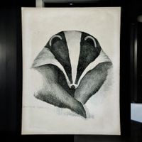 DAMIANE CESARINI Dessin original blaireau signé