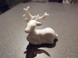 Hirsch, liegend, weiss