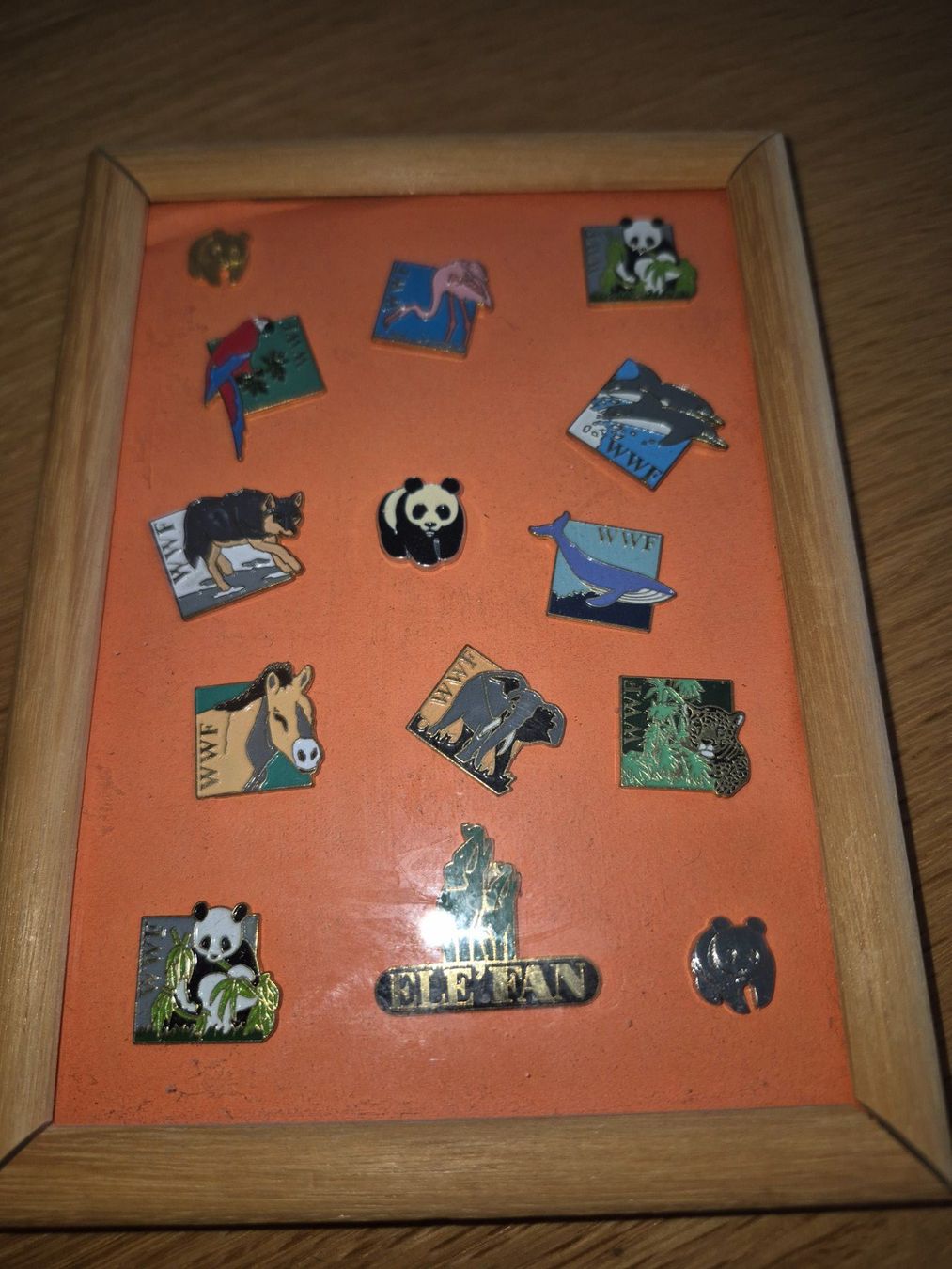 WWF Plaketten & Abzeichen: Pin Set WWF – Gebraucht aus Buttikon SZ von sefa02