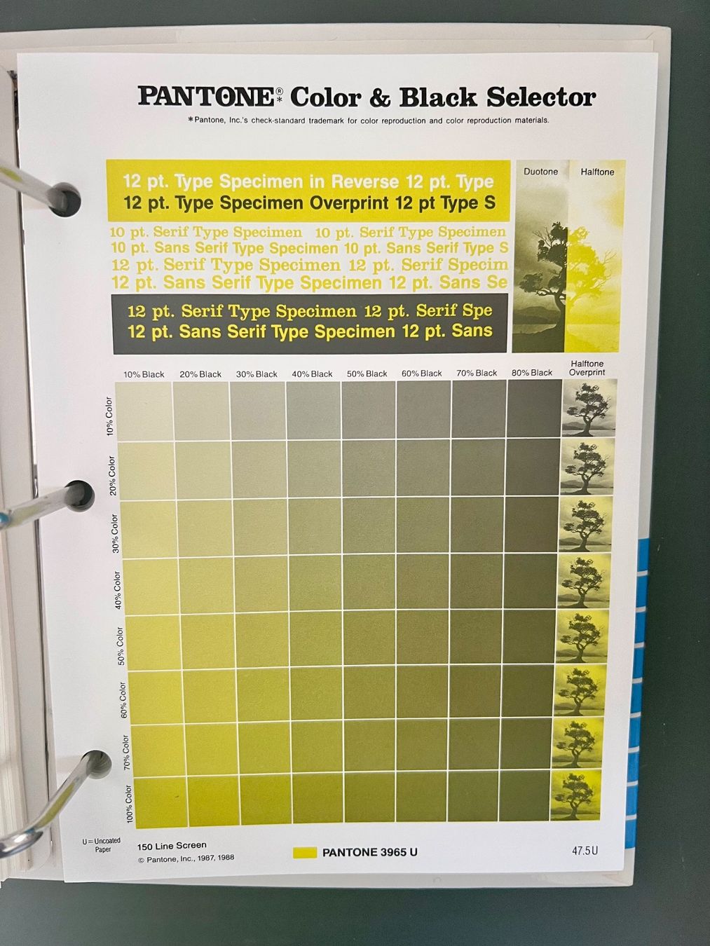 Raccoglitori: 5 Ordner /Bände Pantone Color Guide – Usato da Bolligen venduto da JaMiJe 3