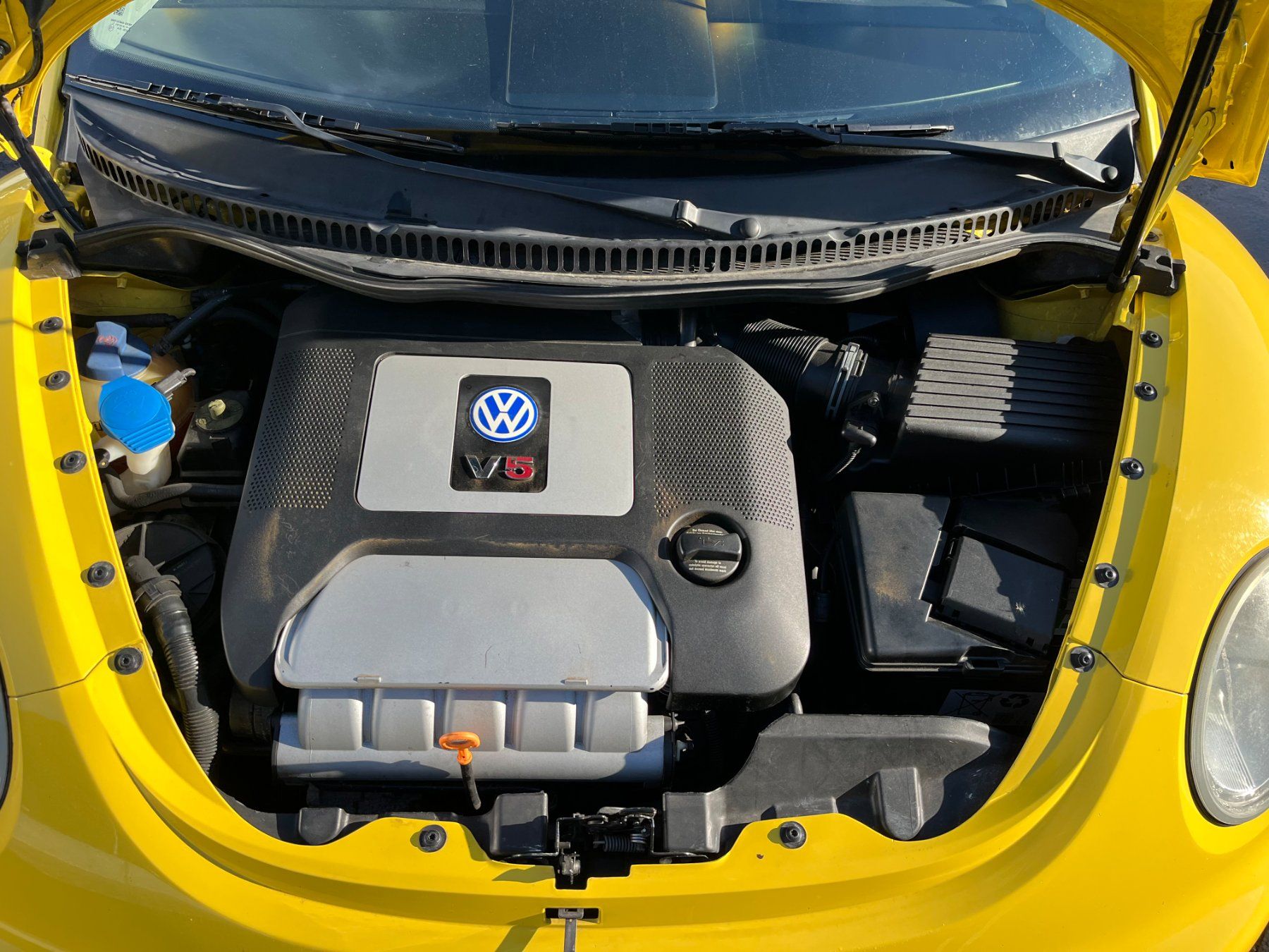 VW Automobili: VW New Beetle V5 – Usato da Lodrino venduto da 2007arielt 5