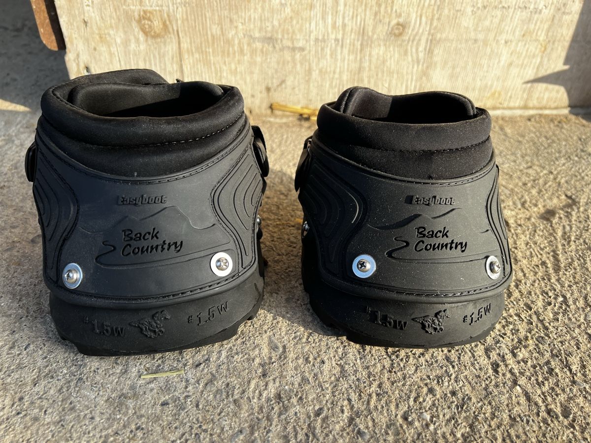 Scarpe per cavalli: NEU: Hufschuhe inkl. Spike – Nuovo (secondo la descrizione) da Scherz venduto da noelle_j