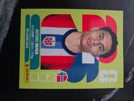NOR 19