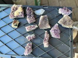 Wunderschöne Amethyst Stücke, tolle Farben, jetzt ersteig...