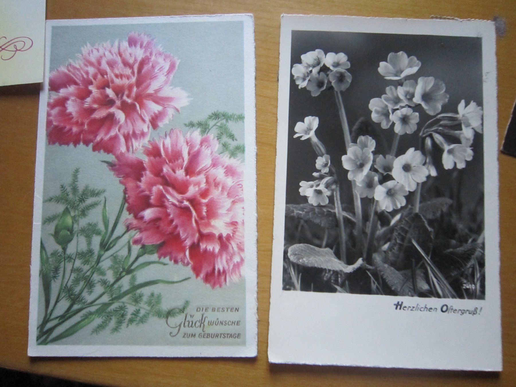 Ansichtskarten: No2 Postkarten Blumen – Gebraucht aus Gordola von Polentaefung 4